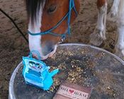 Siglhorse Pferdefutter schmeckt