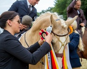 Mihai Maldea, Deutscher Meister der Working Equitation