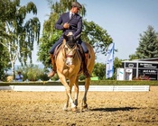 Mihai Maldea, Deutscher Meister der Working Equitation