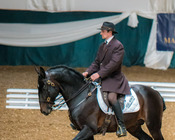 Working Equitation Turnier, Gut Aichet, April 2015