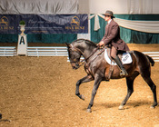 Working Equitation Turnier, Gut Aichet, April 2015