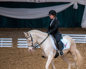 Working Equitation Turnier, Gut Aichet, April 2015