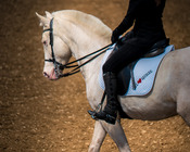 Working Equitation Turnier, Gut Aichet, April 2015