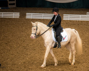 Working Equitation Turnier, Gut Aichet, April 2015